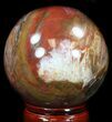 Colorful Petrified Wood Sphere #36961-2